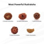 ॐ Original Nepal Origin 5 Mukhi (Panchmukhi) Rudraksha – 17mm to 22mm ॐ